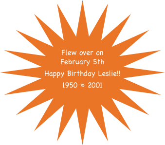 


Flew over on February 5th
Happy Birthday Leslie!!
1950 ≈ 2001